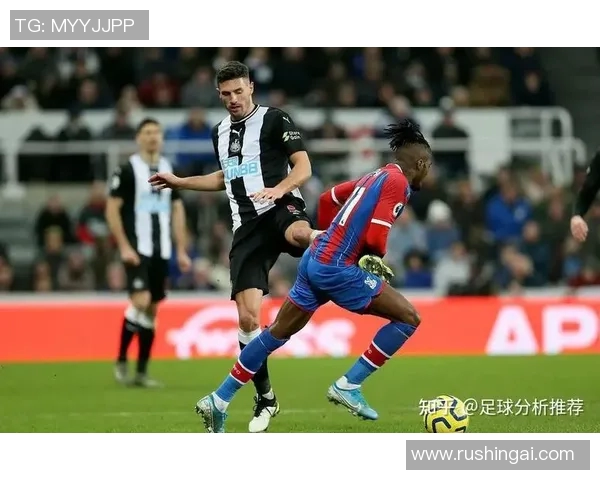 汉堡队与霍芬汉姆的精彩对决分析与赛季前景展望